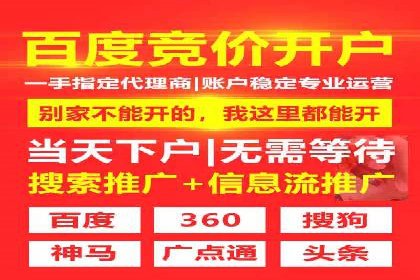 某电商平台的SEM运营托管全记录